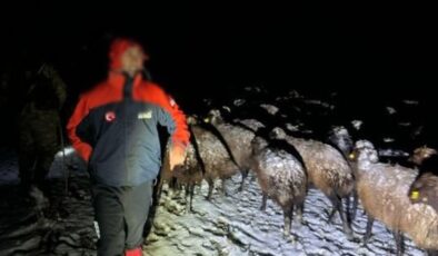 Ağrı’da karda mahsur kalan 3 çoban ve 3 bin küçükbaş kurtarıldı
