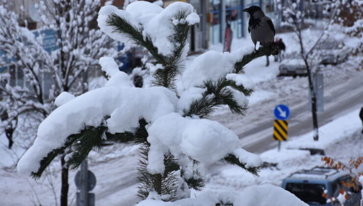 Son dakika: Eğitime kar engeli! Erzurum’da 1 ilçede okullar tatil